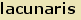 tintakiado idegen sz�t�r