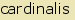 tintakiado idegen sz�t�r