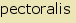 tintakiado idegen sz�t�r