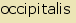 tintakiado idegen sz�t�r