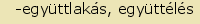 tintakiado idegen sz�t�r