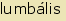 tintakiado idegen sz�t�r