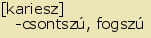 tintakiado idegen sz�t�r